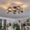 Chehalis Plafondlamp - Glas 12 cm, 15 cm Duidelijk, Rookkleurig, 6-lichts