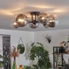 Chehalis Plafondlamp - Glas 12 cm, 15 cm Duidelijk, Rookkleurig, 6-lichts