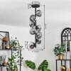 Chehalis Plafondlamp - Glas 10 cm Duidelijk, Rookkleurig, 8-lichts