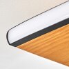 Malling Plafondlamp LED Natuurlijke kleuren, Zwart, Wit, 1-licht
