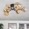 Chehalis Plafondlamp - Glas 10 cm, 12 cm, 15 cm Goud, Zwart, 6-lichts