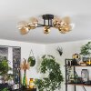 Chehalis Plafondlamp - Glas 10 cm, 12 cm, 15 cm Goud, Zwart, 6-lichts