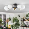 Chehalis Plafondlamp - Glas 10 cm, 12 cm, 15 cm Goud, Zwart, 6-lichts