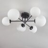Chehalis Plafondlamp - Glas 12 cm, 15 cm Zwart, 6-lichts