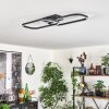 Silla Plafondlamp LED Zwart, 1-licht
