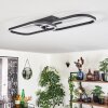 Silla Plafondlamp LED Zwart, 1-licht