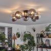 Chehalis Plafondlamp - Glas 15 cm Duidelijk, Rookkleurig, 6-lichts