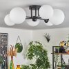 Chehalis Plafondlamp - Glas 12 cm, 15 cm Wit, 6-lichts
