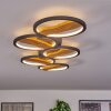Cornol Plafondlamp LED Natuurlijke kleuren, Zwart, 1-licht