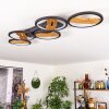 Cornol Plafondlamp LED Natuurlijke kleuren, Zwart, 1-licht