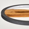 Cornol Hanglamp LED Natuurlijke kleuren, Zwart, 1-licht