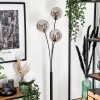 Bernado Staande lamp - Glas 15 cm Rookkleurig, 3-lichts