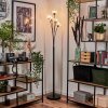 Bernado Staande lamp - Glas 10 cm Duidelijk, 5-lichts