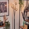 Bernado Staande lamp - Glas 10 cm Rookkleurig, 5-lichts