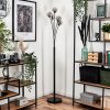 Bernado Staande lamp - Glas 10 cm Rookkleurig, 5-lichts