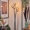 Bernado Staande lamp - Glas 10 cm Rookkleurig, 5-lichts