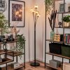 Bernado Staande lamp - Glas 10 cm Amber, 5-lichts