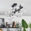 Chehalis Plafondlamp - Glas 10 cm, 12 cm, 15 cm Duidelijk, 10-lichts