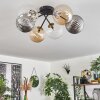 Chehalis Plafondlamp - Glas 15 cm Goud, Zwart, 6-lichts