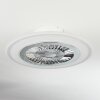 Terradura plafondventilator LED Chroom, Wit, 1-licht, Afstandsbediening