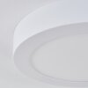 Leto Buitenshuis plafond verlichting LED Wit, 1-licht