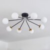 Chehalis Plafondlamp - Glas 10 cm Goud, Zwart, 8-lichts