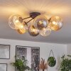 Chehalis Plafondlamp - Glas 10 cm, 12 cm, 15 cm Amber, Duidelijk, Rookkleurig, 6-lichts