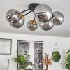 Chehalis Plafondlamp - Glas 12 cm, 15 cm Goud, Zwart, 6-lichts