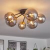 Chehalis Plafondlamp - Glas 12 cm, 15 cm Goud, Zwart, 6-lichts