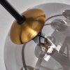 Chehalis Plafondlamp - Glas 12 cm, 15 cm Goud, Zwart, 6-lichts