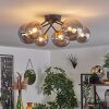 Chehalis Plafondlamp - Glas 12 cm, 15 cm Goud, Zwart, 6-lichts