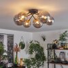 Chehalis Plafondlamp - Glas 12 cm, 15 cm Goud, Zwart, 6-lichts