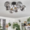 Chehalis Plafondlamp - Glas 15 cm Goud, Zwart, 6-lichts