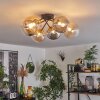 Chehalis Plafondlamp - Glas 15 cm Goud, Zwart, 6-lichts