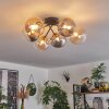 Chehalis Plafondlamp - Glas 15 cm Goud, Zwart, 6-lichts