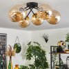 Chehalis Plafondlamp - Glas 15 cm Goud, Zwart, 6-lichts