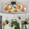 Chehalis Plafondlamp - Glas 15 cm Goud, Zwart, 6-lichts