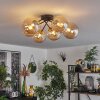 Chehalis Plafondlamp - Glas 15 cm Goud, Zwart, 6-lichts