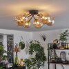 Chehalis Plafondlamp - Glas 12 cm, 15 cm Goud, Zwart, 6-lichts