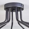 Chehalis Plafondlamp - Glas 15 cm Goud, Zwart, 8-lichts