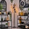Gastor Staande lamp - Glas 15 cm Duidelijk, Rookkleurig, 4-lichts