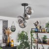 Gastor Plafondlamp - Glas 15 cm Duidelijk, Rookkleurig, 4-lichts