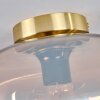 Apedo Plafondlamp - Glas 30 cm Goud, Zwart, 1-licht