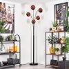 Ripoll Staande lamp - Glas 15 cm Koperkleurig, 5-lichts