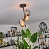Chehalis Plafondlamp - Glas 10 cm, 12cm Amber, Rookkleurig, 4-lichts