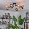 Chehalis Plafondlamp - Glas 12 cm, 15 cm Goud, Zwart, 8-lichts