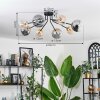 Chehalis Plafondlamp - Glas 12 cm, 15 cm Goud, Zwart, 8-lichts