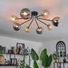 Chehalis Plafondlamp - Glas 12 cm, 15 cm Goud, Zwart, 8-lichts