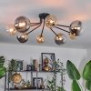 Chehalis Plafondlamp - Glas 12 cm, 15 cm Goud, Zwart, 8-lichts