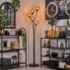 Gastor Staande lamp - Glas 15 cm Amber, 5-lichts